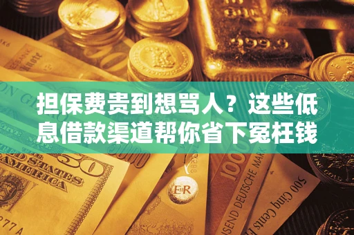 济南担保费贵到想骂人？这些低息借款渠道帮你省下冤枉钱