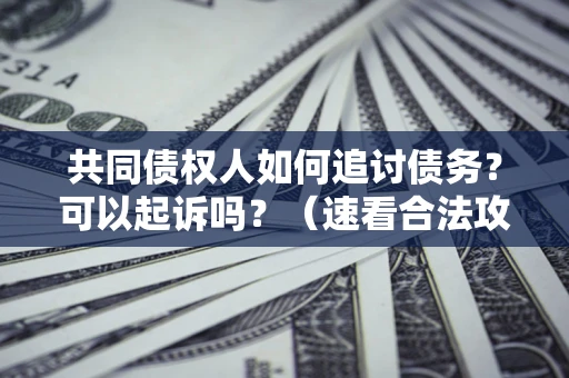 济南共同债权人如何追讨债务？可以起诉吗？（速看合法攻略）